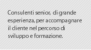Consulenti senior di grande esperienza per accompagnare il cliente nel percorso di sviluppo e formazione